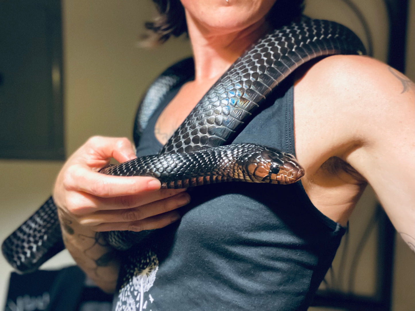 2" Brass Snake Shed Cuff Bracelet (Eastern Indigo)