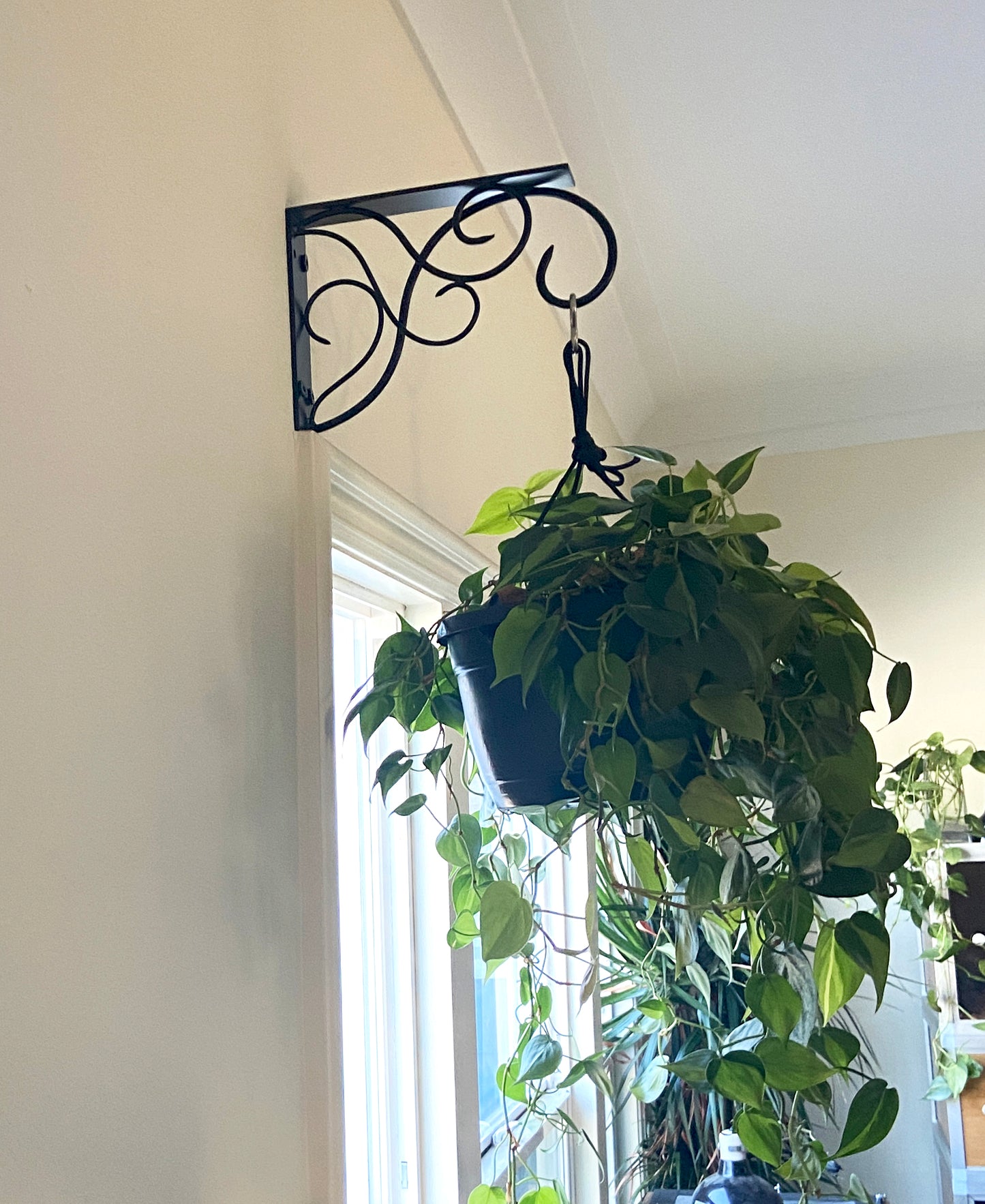 Scroll Shelf Bracket / Plant hanger V1