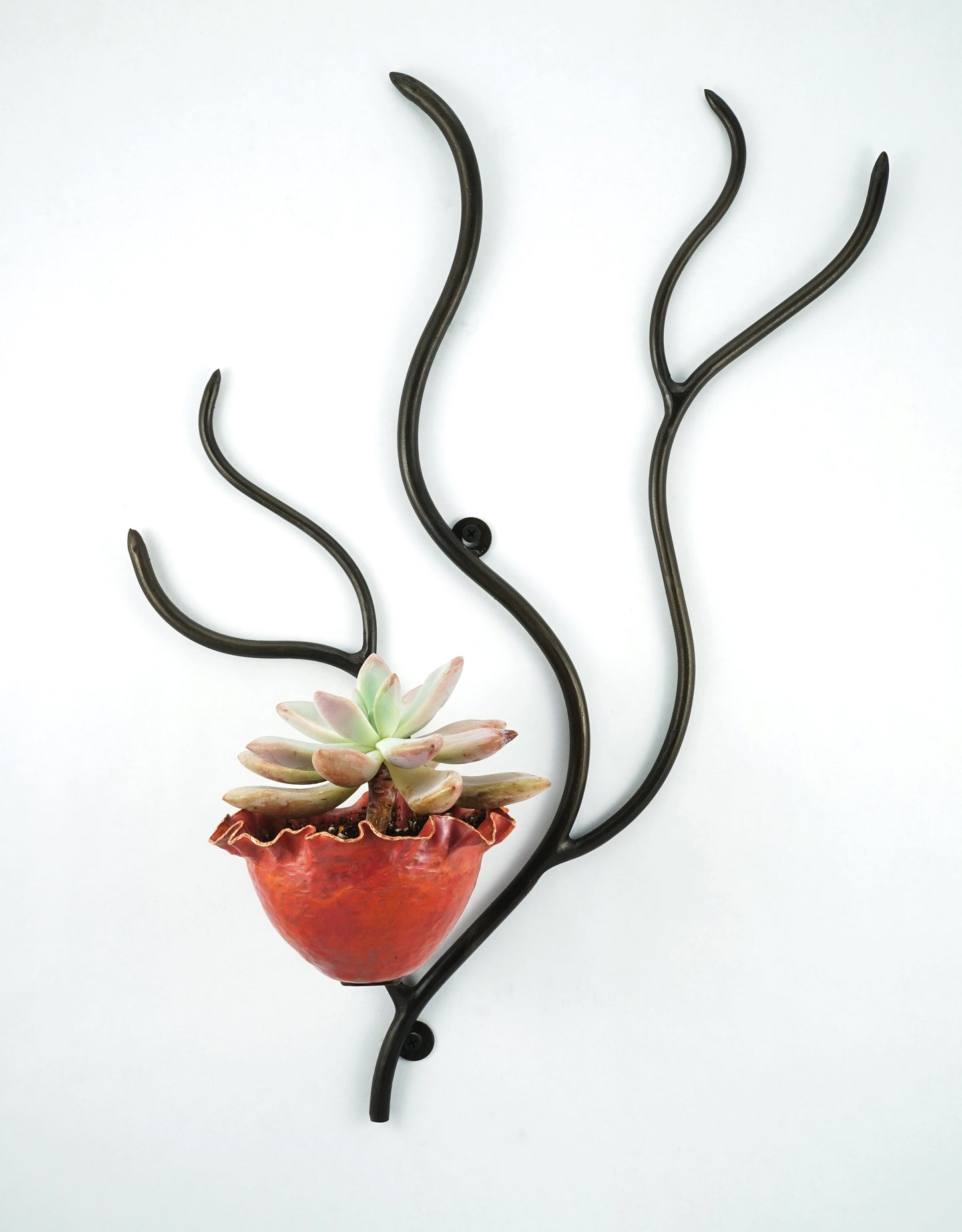 The Maple Planter Sculpture- Customizable