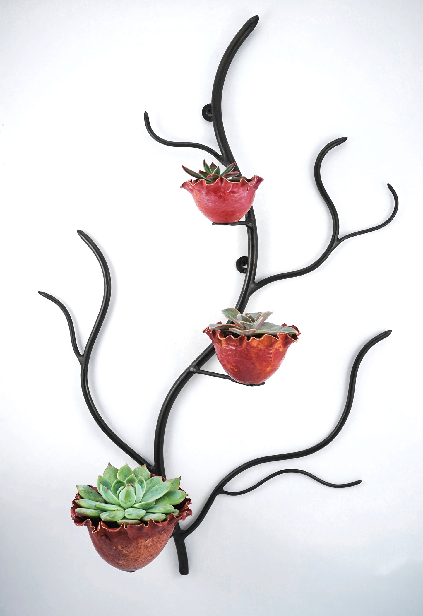 The Oak Planter Sculpture- Customizable