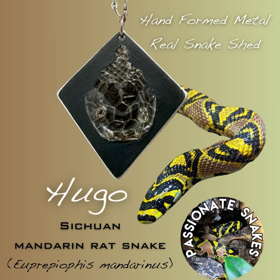 Custom Snake Shed Diamond Pendent (Small)