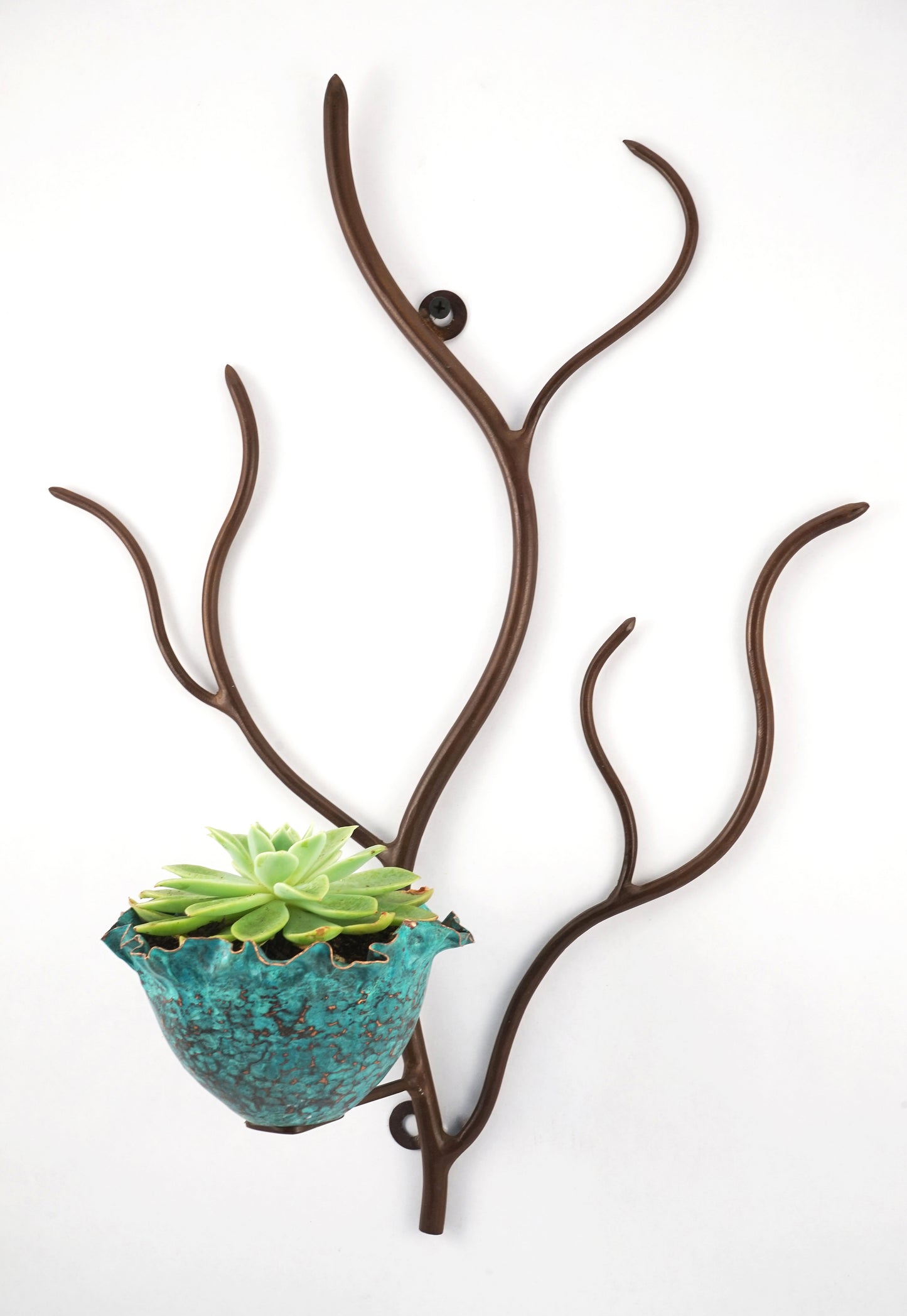 The Madrone Planter Sculpture- Customizable